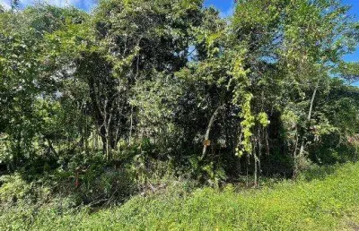 Terreno à venda no Palmeiras II, Itanhaém 