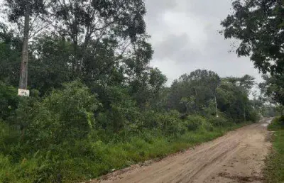 Terreno à venda no Parque Real, Itanhaém 