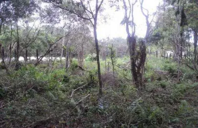 Chácara / sítio à venda no Balneário Gaivota, Itanhaém 