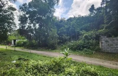 Terreno à venda no São Fernando, Itanhaém 