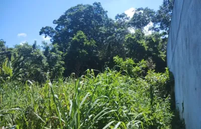 Terreno à venda no Jardim Suarão, Itanhaém 