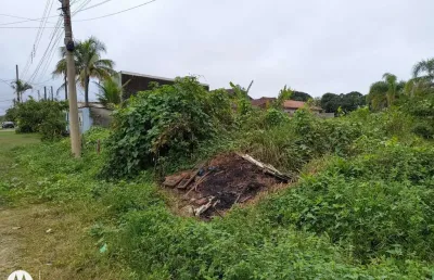 Terreno para venda em itanhaém, jardim das palmeiras