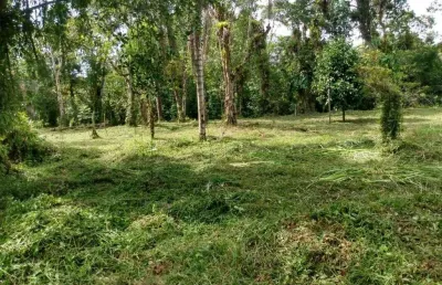 Terreno à venda no Parque Vergara, Itanhaém 