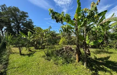 Terreno para venda em itanhaém, jardim das palmeiras