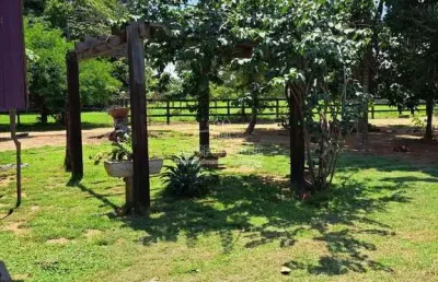Chácara / sítio à venda na Zona Rural, Sinop 