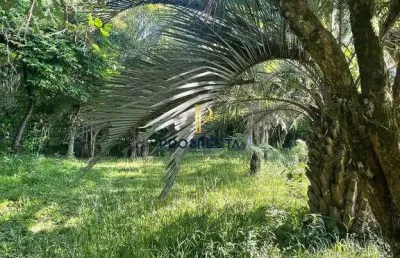 Chacara com 3.000 m² em vila seca a 20 minutos de caxias do sul