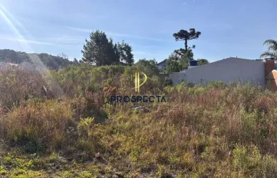 Terreno à venda no São Luiz, Caxias do Sul 