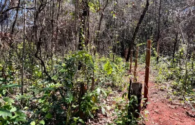 Vendo áreas de 1.000m2, plana com cerrado nativo. lindo lugar! pode escriturar! 6km de pirenópolis/go.