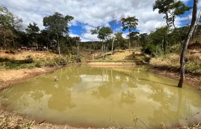 Fazenda 6,5 alqueires goiano, com represa, nascente, capim braquiara, barracão, toda cercada! pirenópolis-go