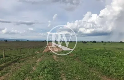 Fazenda à venda – 2.400 alqueires – próximo a flores de goiás