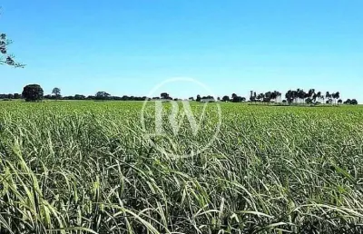 Fazenda à venda na 1, FA0006 RW, Zona Rural, Quirinópolis