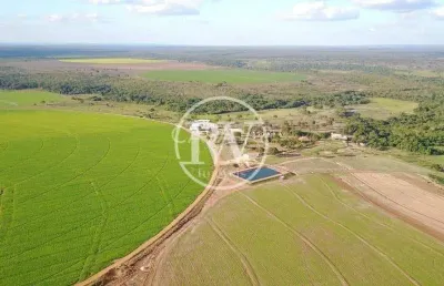 Fazenda à venda próxima a formosa-go – quase 250 alqueires, rica em água