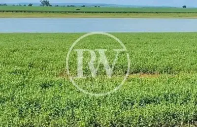 Fazenda de alto padrão à venda – 150 alqueires – gouvelândia/go