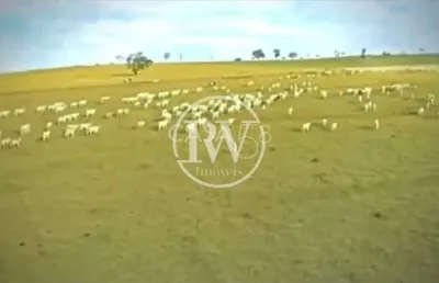 Fazenda à venda em  bela vista de goiás, go capa de revista