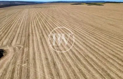 Mega fazenda de cana à venda em são paulo –5.000 alqueires altamente produtivos