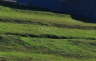 Terreno à venda na Avenida das Flores, Jardins Capri, Senador Canedo