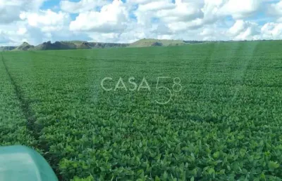 Fazenda à venda em mineirosgo 126 alqueires 335 ha em lavoura solo de qualidade