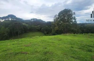 Terreno à venda na Rua Magnólia, Campina da Barra, Araucária