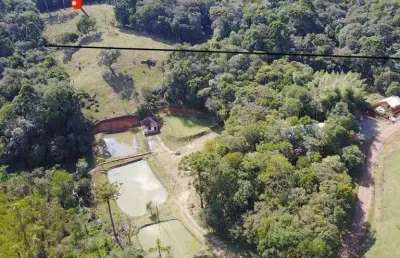 Terreno à venda, 25400 m² por r$ 650.000 - quatro barras/pr