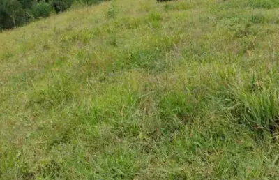 Chácara com 2 dormitórios à venda, 60000 m² por r$ 600.000 - zoneamento e uso do solo urbano - lapa/pr