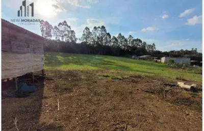 Chácara com 2 dormitórios à venda, 10000 m² por r$ 350.000 - zona rural - tijucas do sul/pr