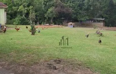 Chácara com 4 dormitórios à venda, 5000 m² por r$ 280.000 - paloma - colombo/pr