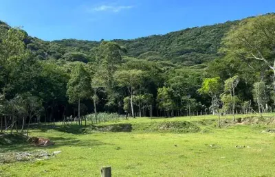 Fazenda à venda na Rua Manoel Antônio Cândido, 1, Enseada de Brito, Palhoça