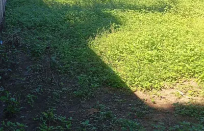Terreno à venda na rua romualdo silveira, vila cajueiro, cariacica, 850 m2 por r$ 120.000