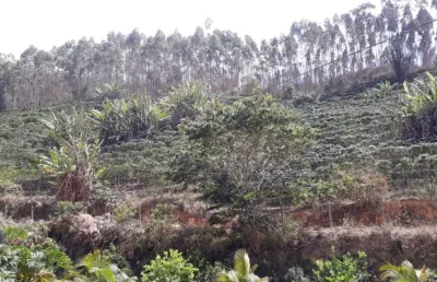 Terreno à venda no Alto Caldeirão, Santa Teresa 