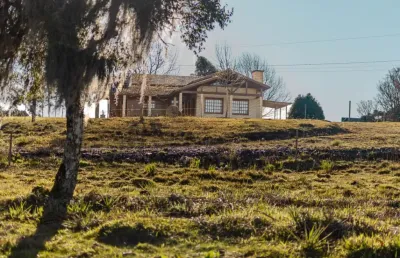 Chácara / sítio com 3 quartos à venda na Rodovia Br 453, Km 176,5, 310, Vila Seca, Caxias do Sul