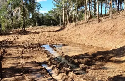 Chácara / sítio com 1 quarto à venda na Estrada Municipal Linha Feijó, 333, Loreto, Caxias do Sul