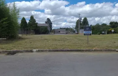Terreno para venda em são bento do sul, boehmerwald