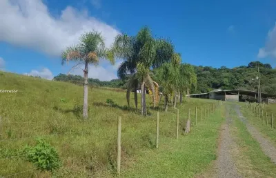 Chácara / sítio à venda no Trigolândia, Piên 