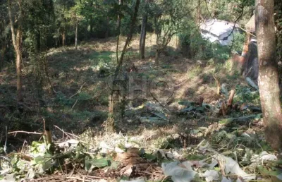 Terreno à venda na avenida nova cantareira, 7000, tucuruvi, são paulo, 3350 m2 por r$ 1.280.000