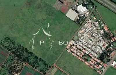 Terreno comercial à venda na avenida alexandre cazelatto, 55, betel, paulínia por r$ 43.500.000