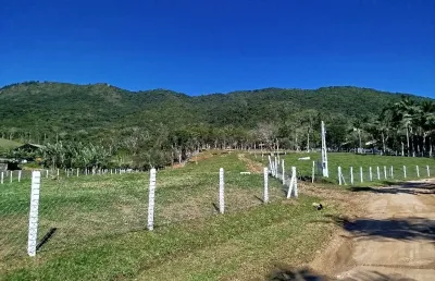 Lindo sítio já em produção de plantação. 6,5 hectares em santo amaro da imperatriz sc
