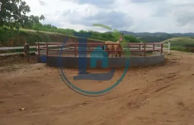 Chácara / sítio para alugar no Pouso Alegre, Santa Isabel 