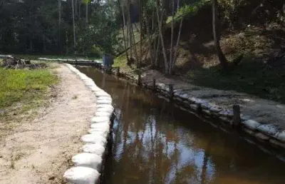 Chácara / sítio com 4 quartos à venda na Rua Governador Pimenta Bueno, 100, Centro, Rio Preto da Eva
