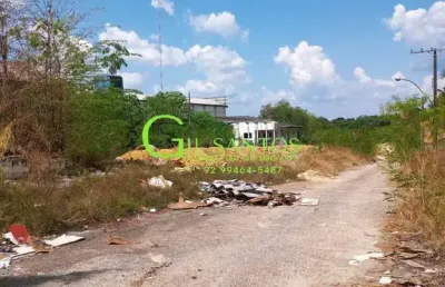 Terreno comercial para alugar na Rua Constelação de Gêmeos, 400, Aleixo, Manaus