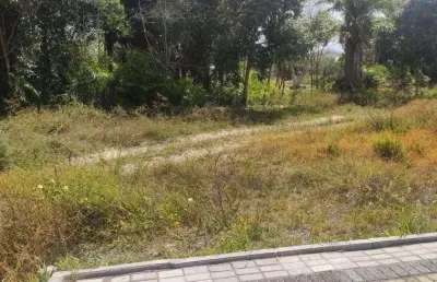 Lote/terreno para venda tem 1117 metros quadrados em busca vida (abrantes) - camaçari - ba