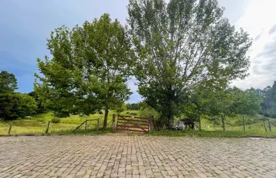 Chácara / sítio à venda no Santo Antônio, Caxias do Sul 