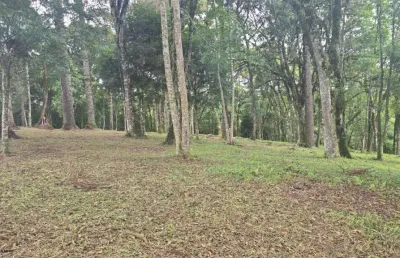Terreno à venda na Estrada Particular S/n, São Caetano, Balsa Nova