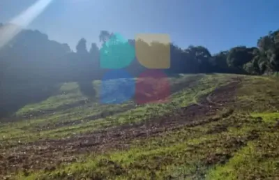Chácara / sítio à venda na Rua Quinze De Maio S/n, Zona Rural, Balsa Nova