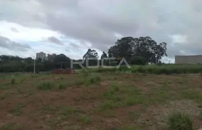 Terreno / lote para alugar em jardim guanabara, são carlos - ótima oportunidade!