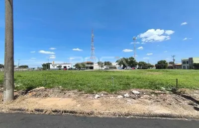 Oportunidade única: terreno padrão para alugar no jardim ricetti, são carlos