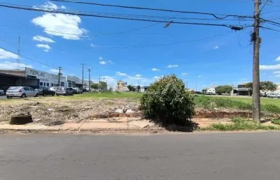 Terreno padrão para alugar na vila alpes, são carlos - oportunidade única!