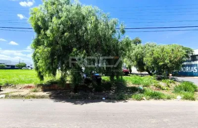 Excelente terreno padrão para alugar na vila alpes, são carlos
