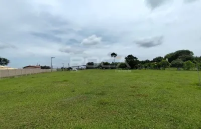 Área rural para alugar em são carlos | ideal para investimento