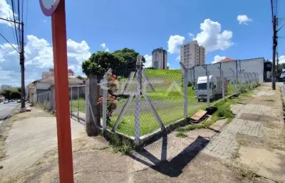 Terreno comercial para alugar no centro de são carlos - oportunidade única!