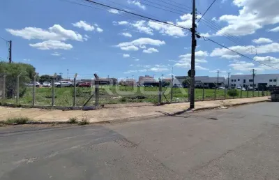 Terreno padrão para alugar na vila alpes, são carlos - excelente oportunidade!